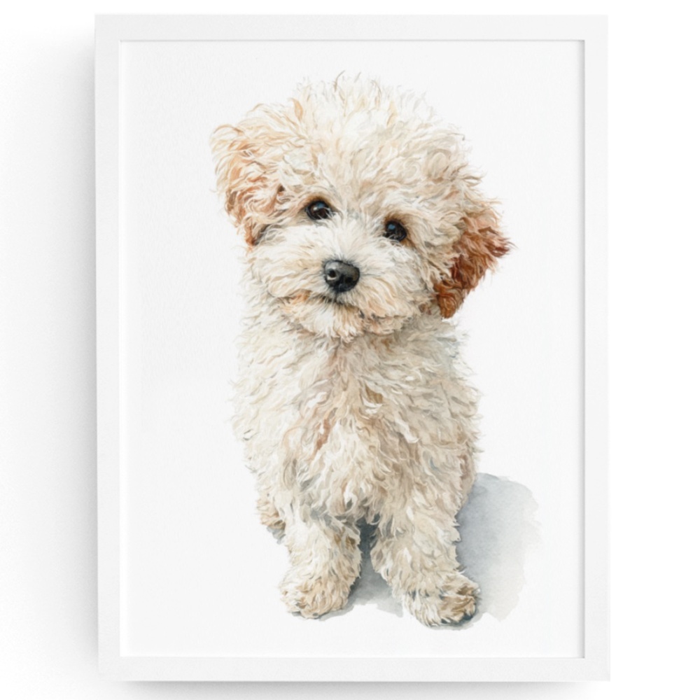 Watercolor Miniature Poodle Wall Art Print, Unframed - Charming Canine Elegance